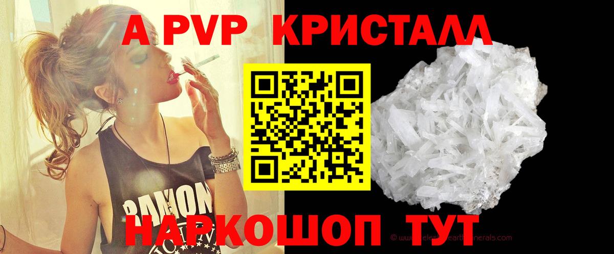 Альфа ПВП СК Сунжа