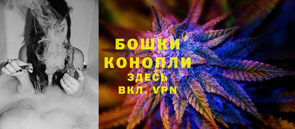 дурь Алексеевка