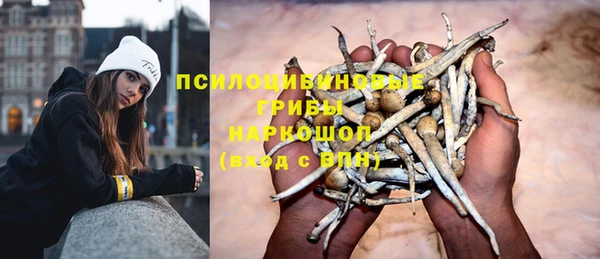 гидропоника Алексин