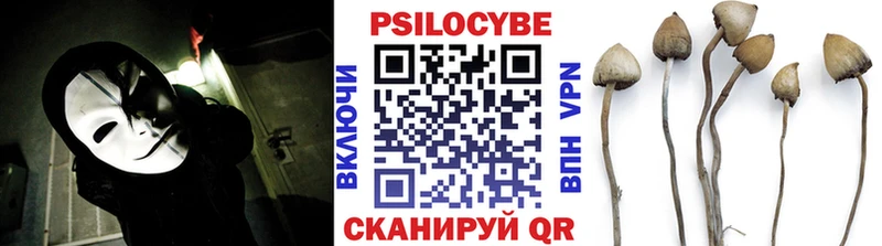 Галлюциногенные грибы Magic Shrooms  Сунжа 