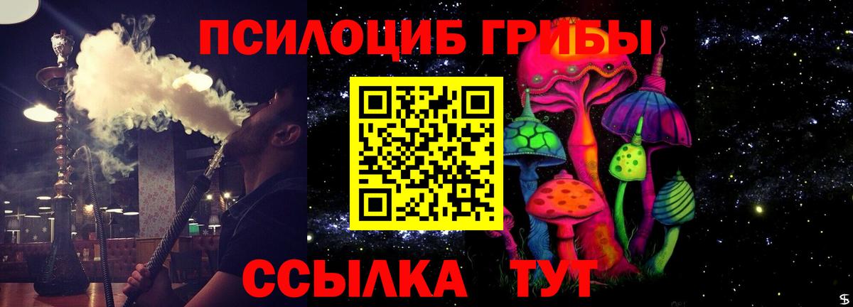 Галлюциногенные грибы Cubensis  Вход с VPN  Сунжа  Галлюциногенные грибы Psilocybine cubensis 