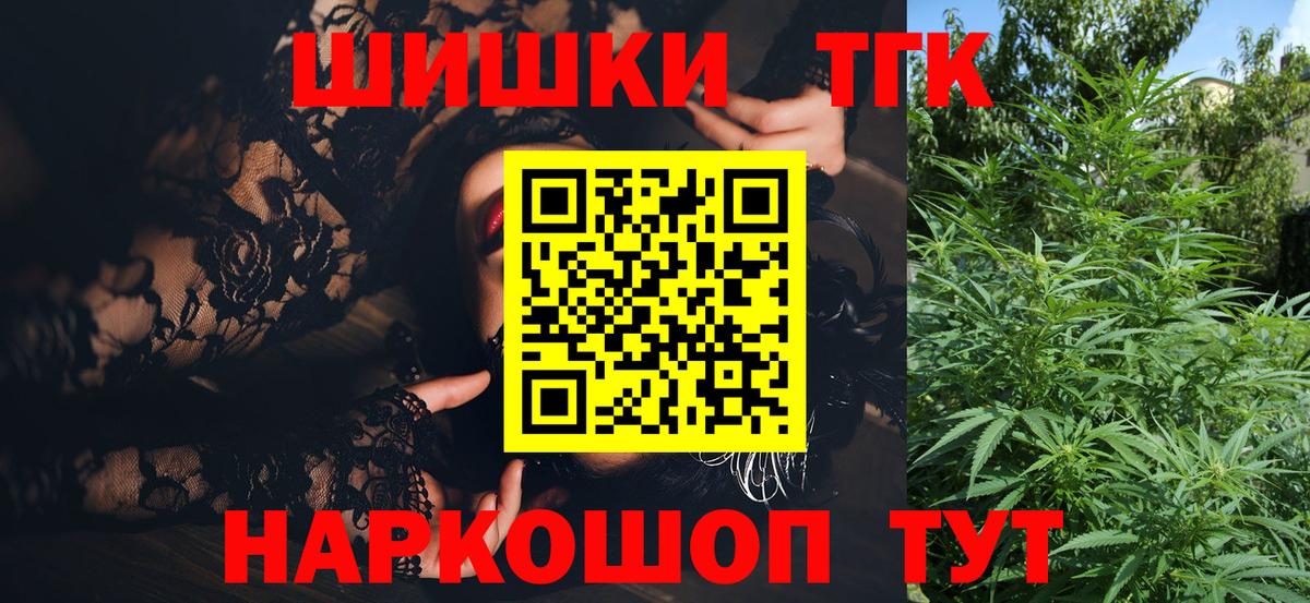 Конопля сатива Сунжа